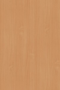 DTDL 381 BS BU Buk